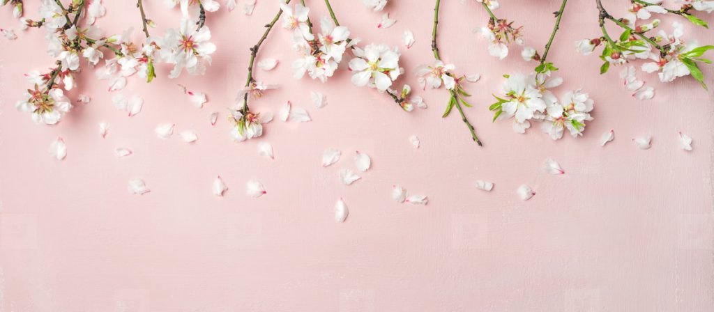 Dịch Vụ Trang điểm Bình Dương